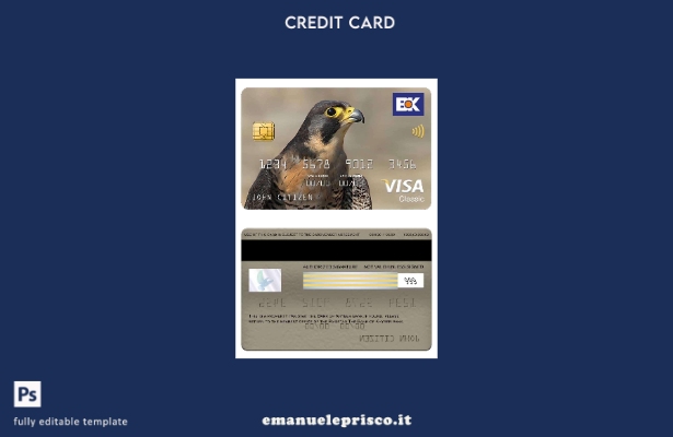 stile verificato Pakistan Modello di carta classica per visto bancario The Bank 